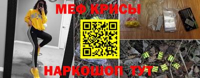 индика Нальчик