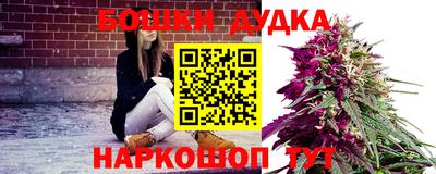 индика Нальчик