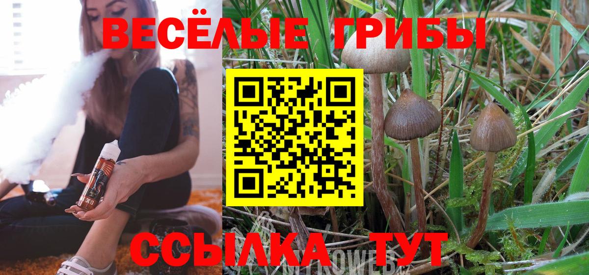 Галлюциногенные грибы мицелий  Вход с VPN  Алушта 