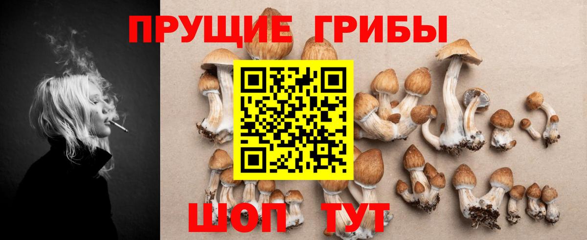 Псилоцибиновые грибы GOLDEN TEACHER Алушта